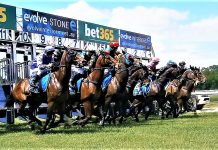 Kyneton Cup devoid of spectators
