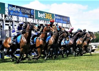 Kyneton Cup devoid of spectators