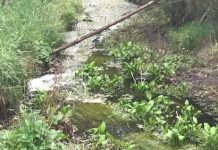 Western Water fined over spill