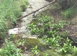 Western Water fined over spill