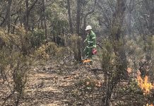 Bushfire preparation begins