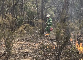 Bushfire preparation begins