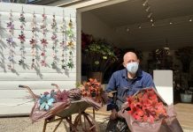 Beauty awaits behind the garden gate…