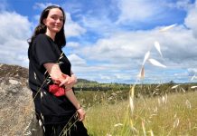 Sculpture prize coup for Castlemaine artist