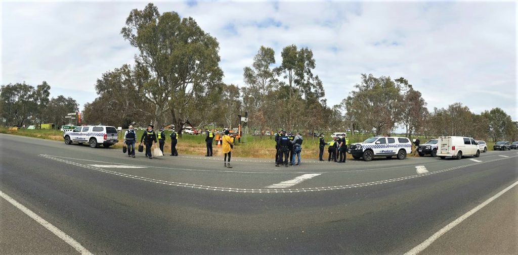 Castlemaine locals in tree-sit actions