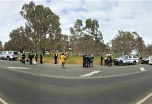 Castlemaine locals in tree-sit actions
