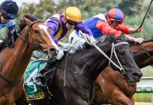Interstate raider wins Kyneton Cup