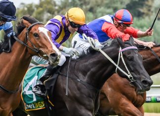 Interstate raider wins Kyneton Cup