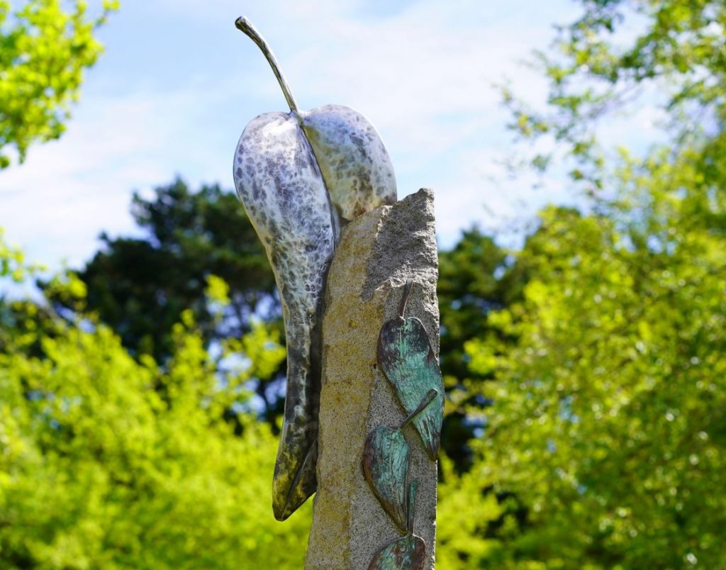 Plans shaping up for Romsey Ecotherapy Park