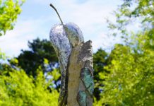 Plans shaping up for Romsey Ecotherapy Park