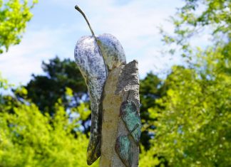 Plans shaping up for Romsey Ecotherapy Park