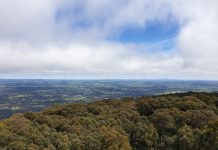 Keeping watch on Mount Macedon
