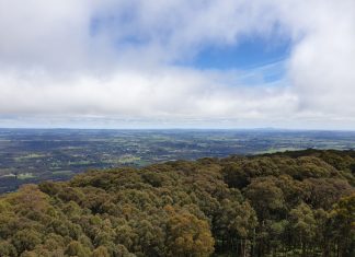 Keeping watch on Mount Macedon