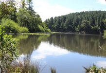 Hollywood comes to the Ranges