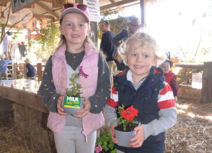 KynShow crop (Custom)