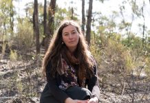 Intricate illustrations