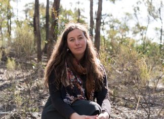 Intricate illustrations