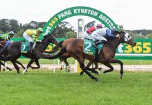 Who will win the 2020 Kyneton Cup?