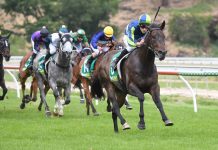 Bid for crowds at ‘The Rock’