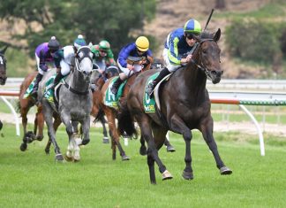 Bid for crowds at ‘The Rock’