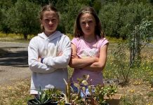 Thieves exploit honesty system