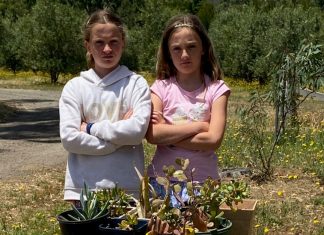 Thieves exploit honesty system