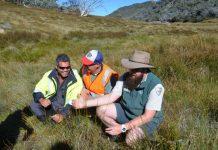 Taungurung agreement creates jobs