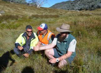 Taungurung agreement creates jobs