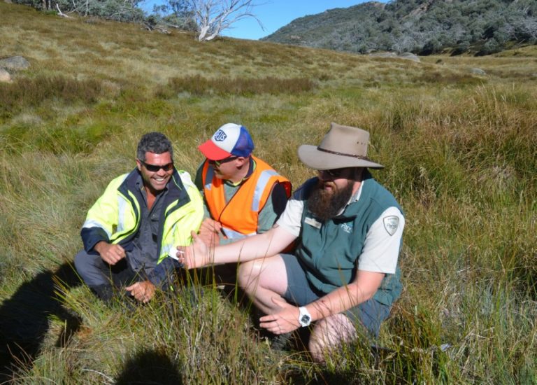 Taungurung agreement creates jobs