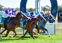 Two in a row for Toolbar