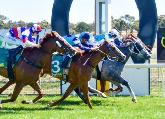 Two in a row for Toolbar