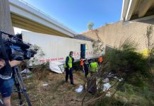 Miracle escape from Taradale truck crash