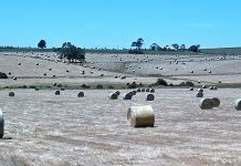 Farm build rights gone?