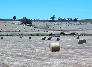 Farm build rights gone?