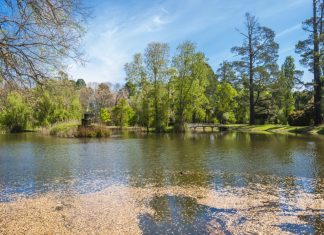 Help shape Malmsbury’s gardens