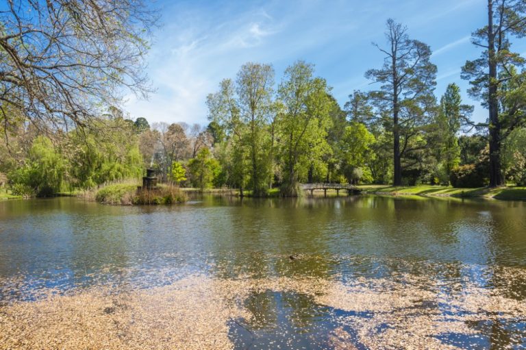 Help shape Malmsbury's gardens