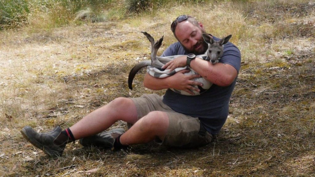 Roo cull climb hits hard