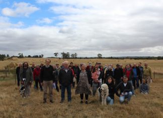 'Tack-on Sunburyisation'