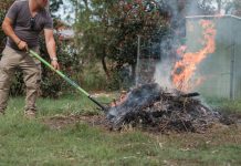 'Black spot' woes continue