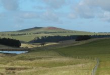 Glen Junor gone from Gisborne Futures plan