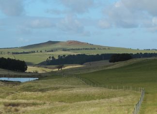 Glen Junor gone from Gisborne Futures plan