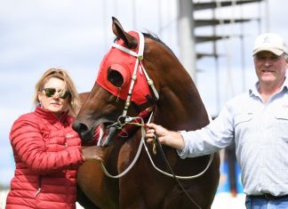 High hopes for Haystacks