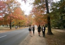 Autumn festival for Ranges