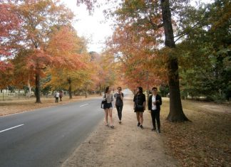 Autumn Festival plans released