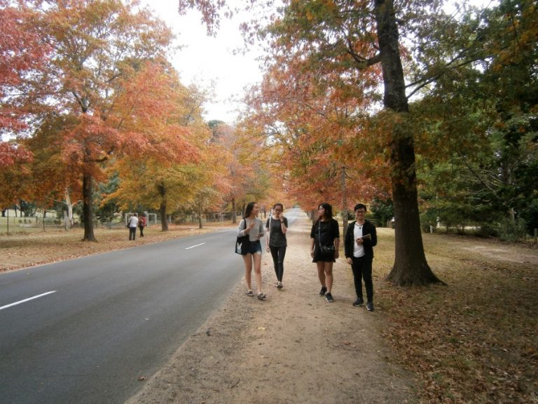 Autumn festival for Ranges