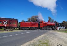 'Near-miss' Maldon crossing upgrade begins