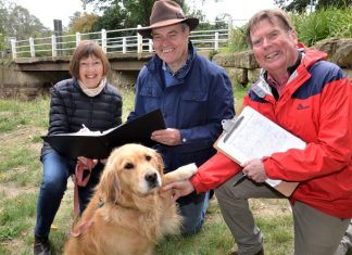 Bridge saga to council tonight