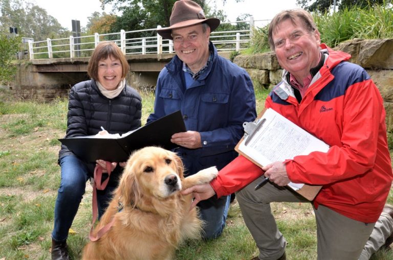 Bridge saga to council tonight