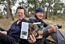 Deserving attention – A guide to our beautiful and hardy native peas