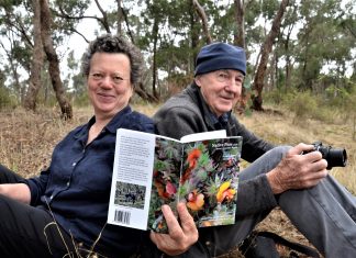 Deserving attention – A guide to our beautiful and hardy native peas